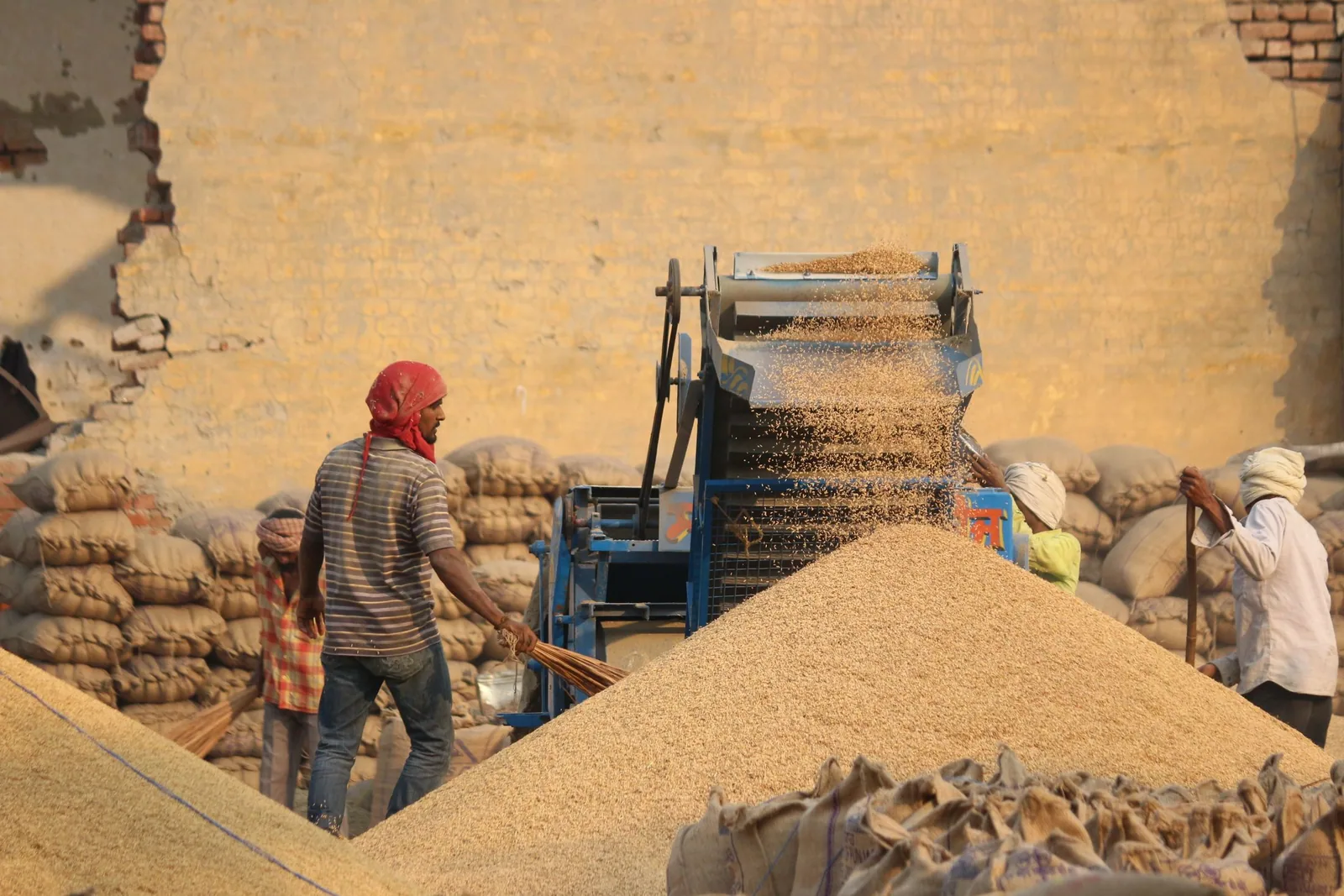 Grain Protein Sorting Classifier