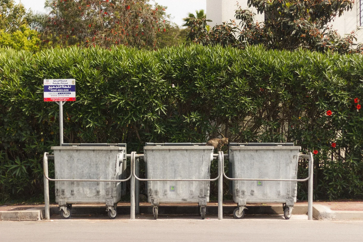 Municipal waste and recycling bins standing at a kerb on a city street.